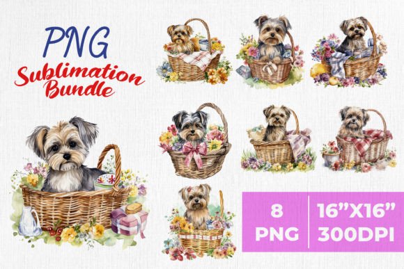 Spring Morkie Dog Breed Watercolor PNG